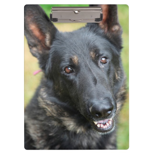 Pranchetas German shepherd (Frente)
