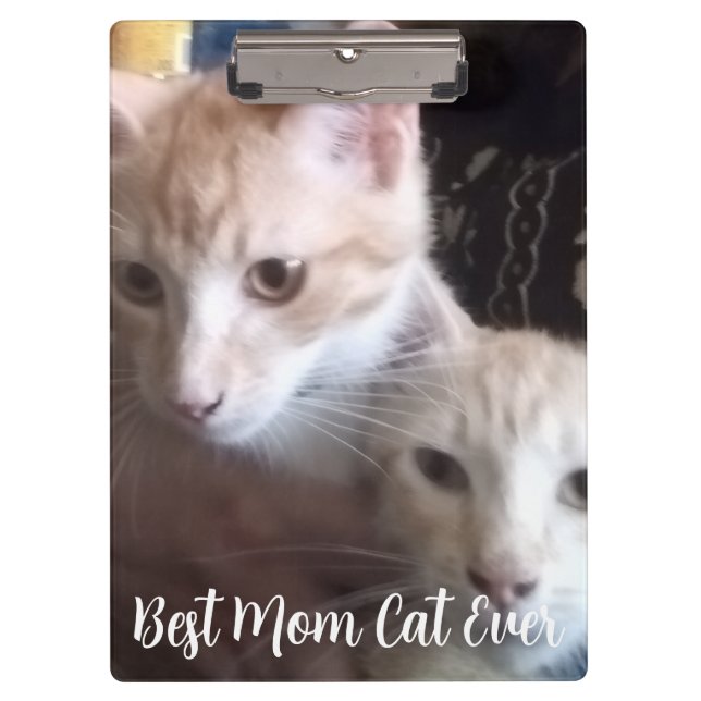 Pranchetas Ginger cat (Frente)