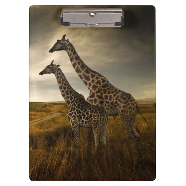 Pranchetas Girafas e a paisagem (Frente)