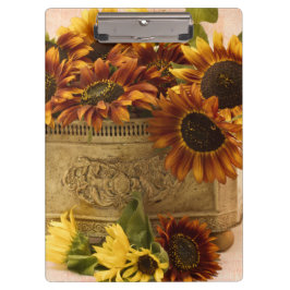 Pranchetas Girassóis De Laranja No Soquete De Tin