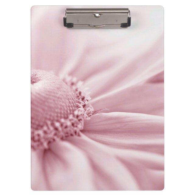 Pranchetas Gloriosa Daisy Macro (Frente)