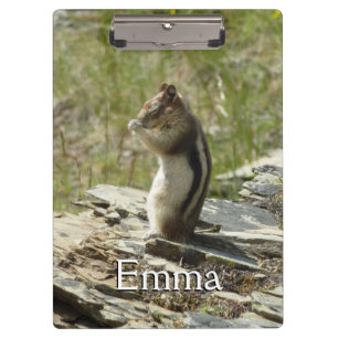 Pranchetas Golden-Mantled Ground Squirrel at Glacier Park