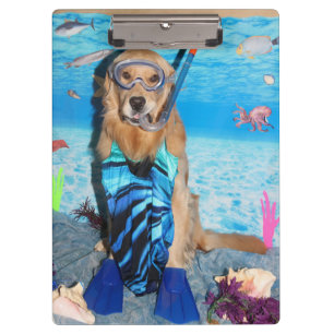 Pranchetas Golden retriever Snorkeler