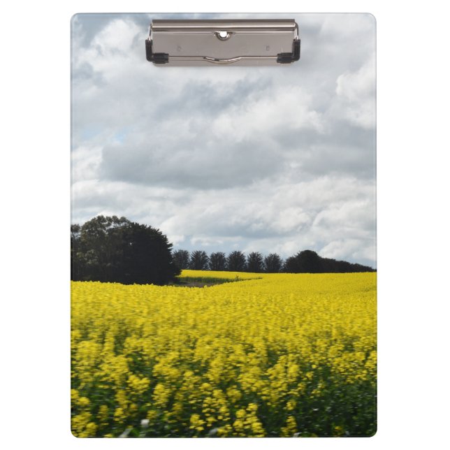 Pranchetas Golden Waves of Streatham (Frente)