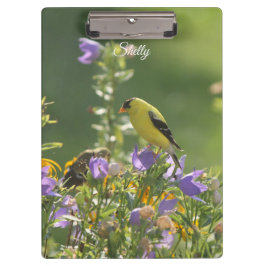 Pranchetas Goldfinch em uma Flor Harebell
