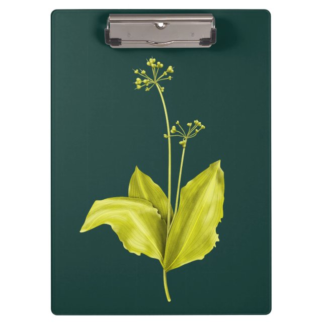 Pranchetas Grelha de Alho Selvagem de Planta Verde (Frente)