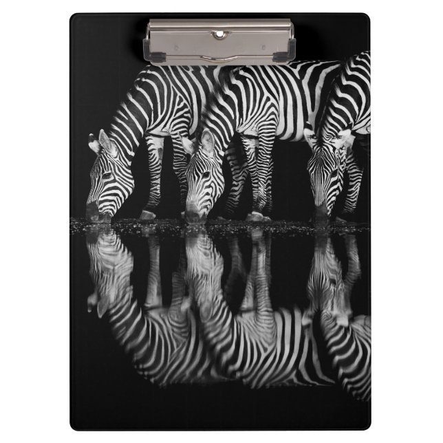 Pranchetas Group of Plains Zebra Drink Together at Night (Frente)