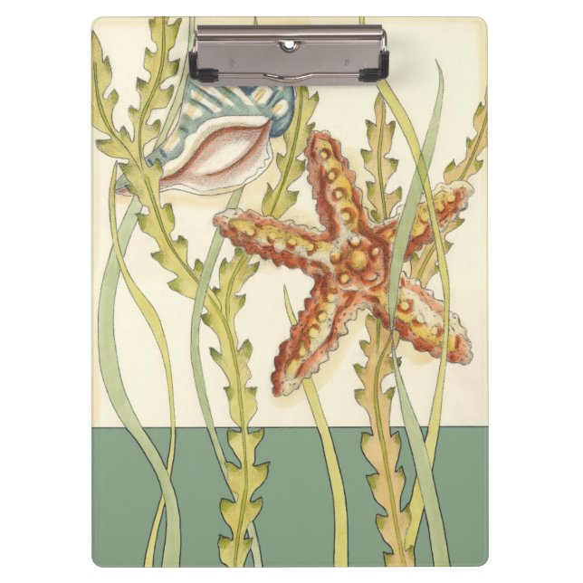 Pranchetas Grupo de Shell Multicolores (Frente)