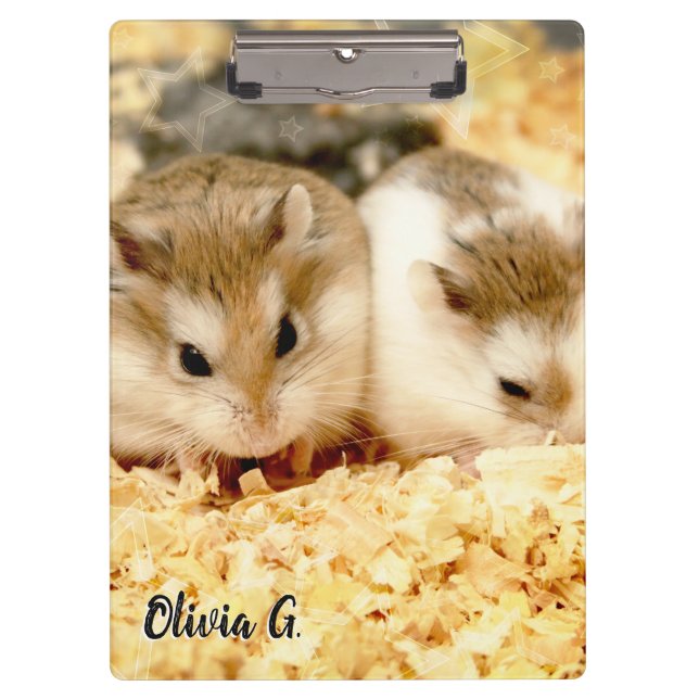 Pranchetas Hammyville - Hamster Bonito (Frente)