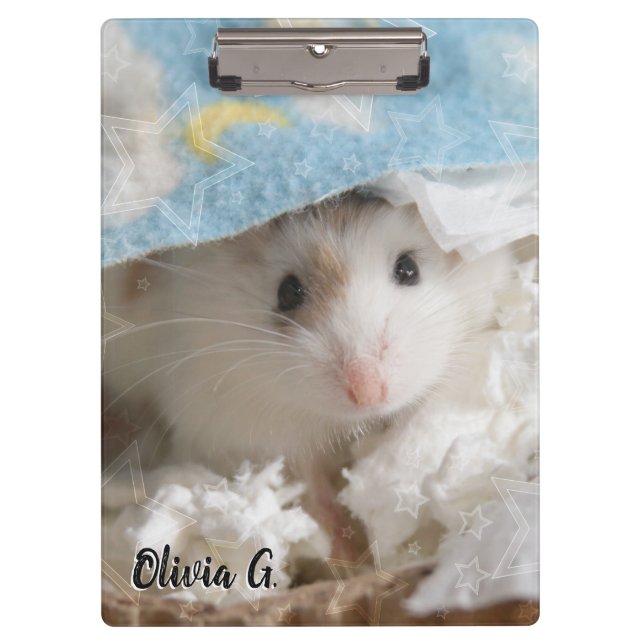 Pranchetas Hammyville - Hamster Bonito (Frente)