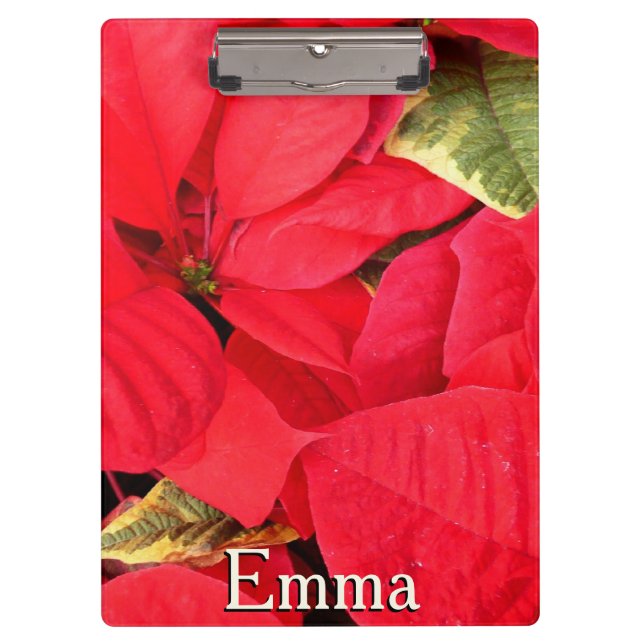 Pranchetas Holly Point Poinsettias Holiday Floral (Frente)