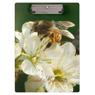 Pranchetas Honey Bee Plum Blossom Nature Study Clipboard