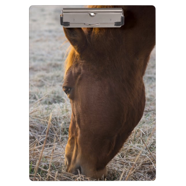 Pranchetas Hora de Comer (Frente)