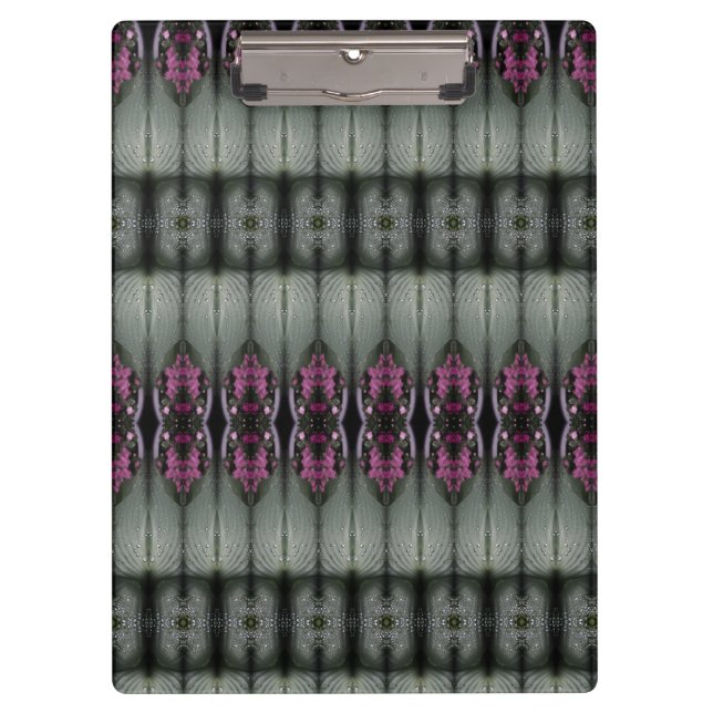 Pranchetas Hosta La Vista Too Zen Fog (Frente)