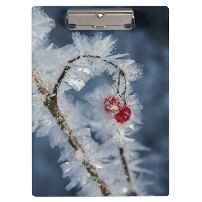 Pranchetas Ice Berries (Frente)