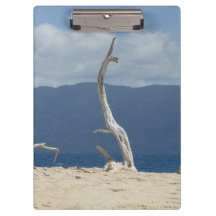 Ilhas Frankland - Austrália