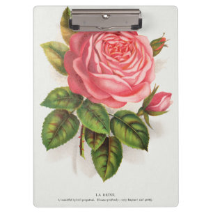 Pranchetas Ilustração Floral Rosa Antiga Cottagecore
