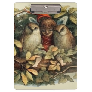 Pranchetas Ilustração Rich Natural de Corujas e Elf Fairies