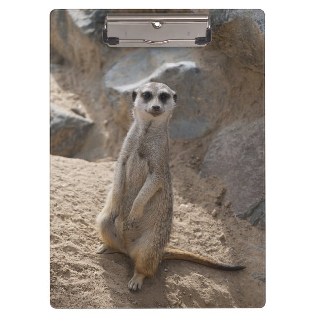 Pranchetas Impressionante Meerkat (Frente)