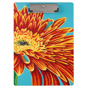 Pranchetas Intermitências de cores I