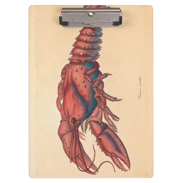 Pranchetas James Sowerby Sernotated Lobster (Frente)