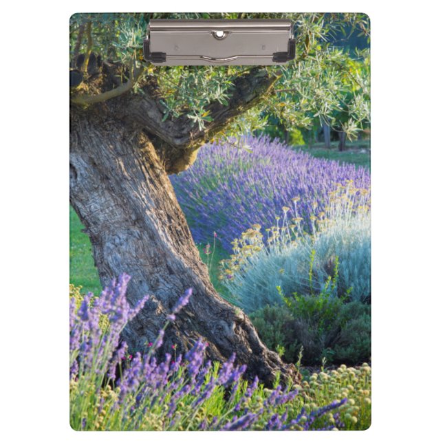 Pranchetas Jardim cênico com flores, França (Frente)