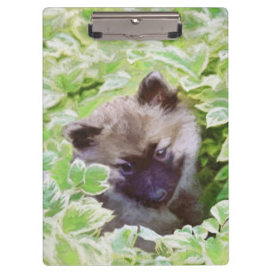 Pranchetas Keeshond Puppy in the Garden Painting Original Art