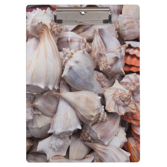 Pranchetas Key West, conchas (Frente)