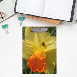 Pranchetas Ladybug no Yellow Daffodil Floral
