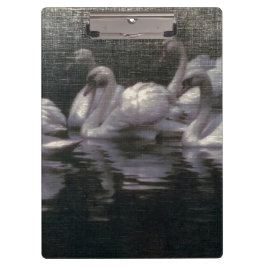 Pranchetas Lago de Cisnes ao Luar