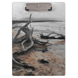 Pranchetas Lago Tyrrell Natural Forces