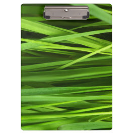 Pranchetas Lâminas de gramíneas