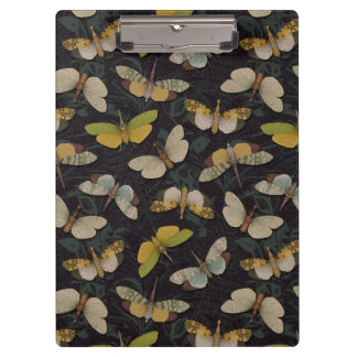 Pranchetas Lanternófilos - Píropos Candelaria e Outros Planth