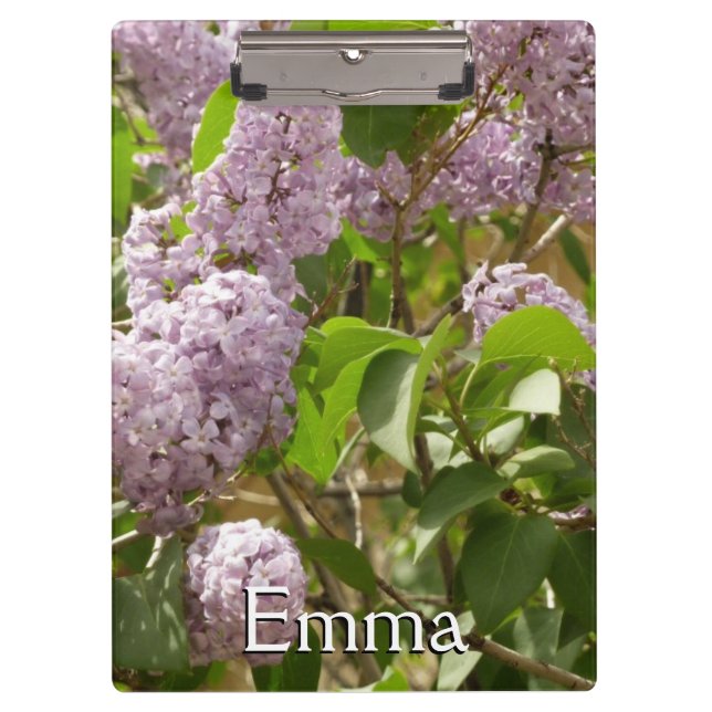 Pranchetas Lilac Bush Lindas Flores de primavera Roxas (Frente)