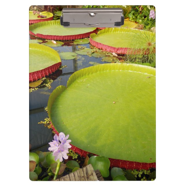 Pranchetas Lily Pond Clipboard (Frente)