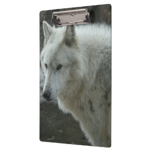 Pranchetas Lobo branco