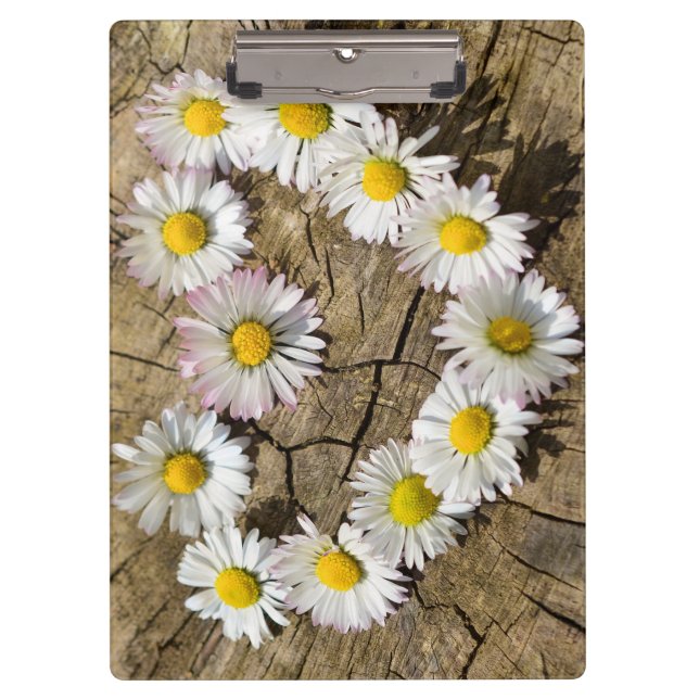 Pranchetas Love Heart Daisies (Frente)