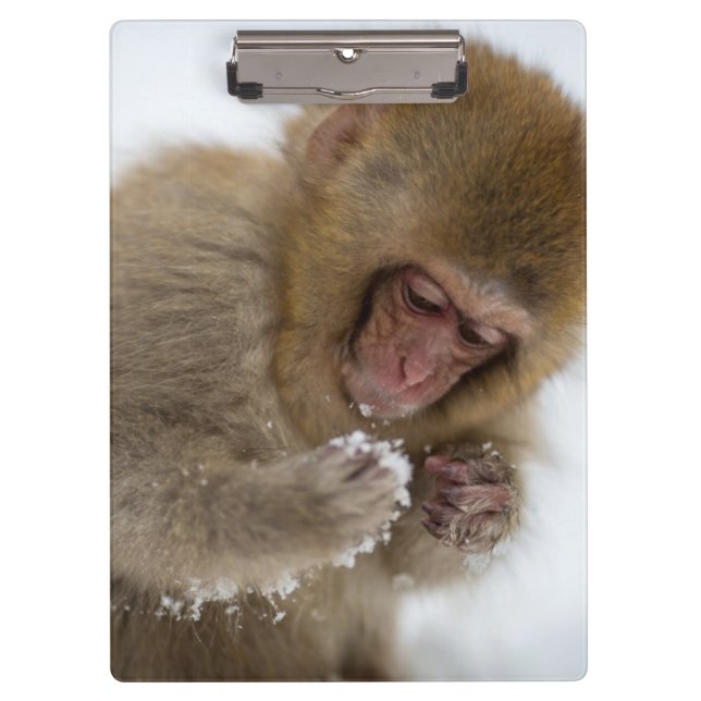 Pranchetas Macaco japonês da neve do Macaque | do bebê (Frente)
