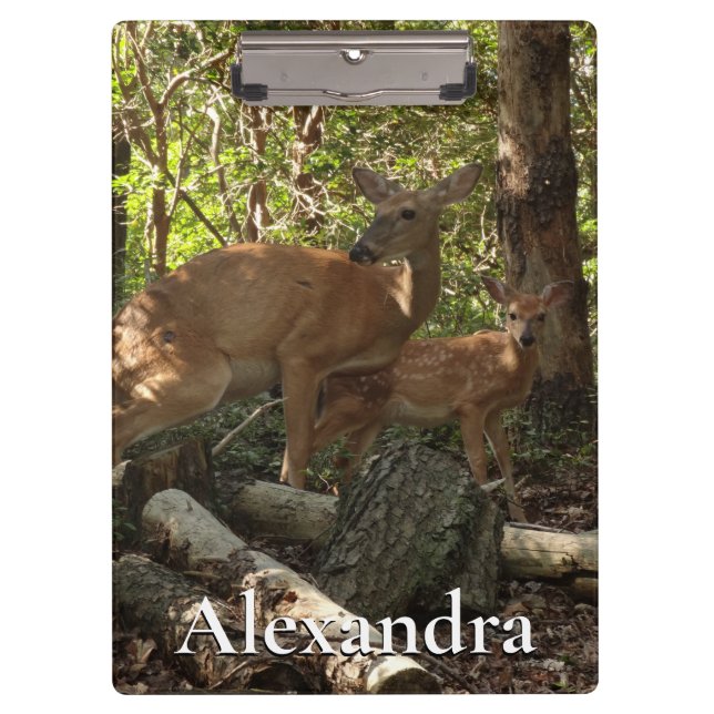 Pranchetas Madre e bebê veados no Parque Nacional de Shenando (Frente)