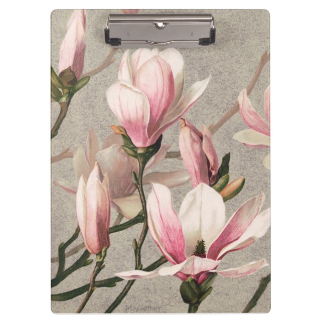 Pranchetas Magnolia - L. Prang & Co  (Frente)