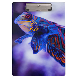 Pranchetas Mandarin Goby Fish