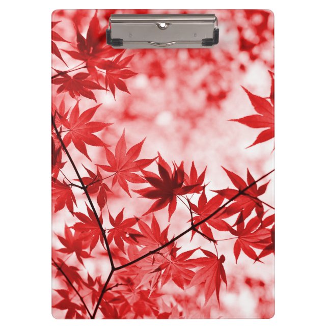 Pranchetas Maple deixa paisagem Design-21355 (Frente)