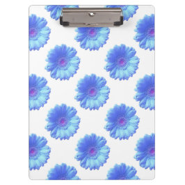 Pranchetas Margarida azul-gerbera