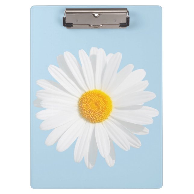 Pranchetas margarida branca (Frente)