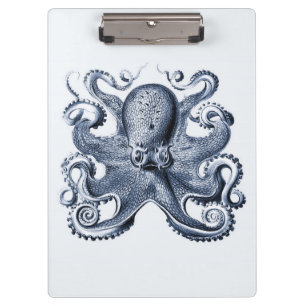 Pranchetas Marinho Blue Octopus ilustrado por Ernst Haeckel