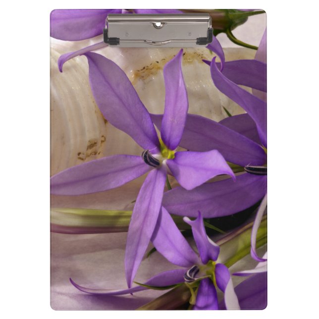 Pranchetas Mauve Starshine Laurentia (Frente)