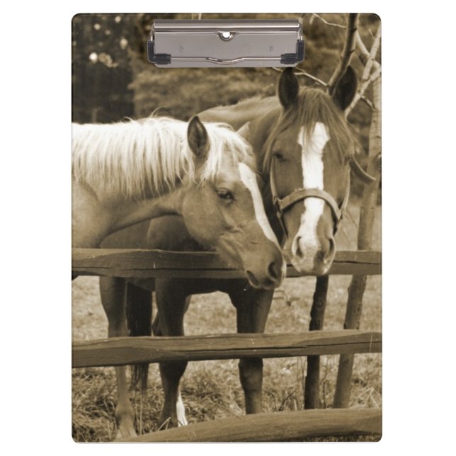 Pranchetas Melhores Amigos (Frente)