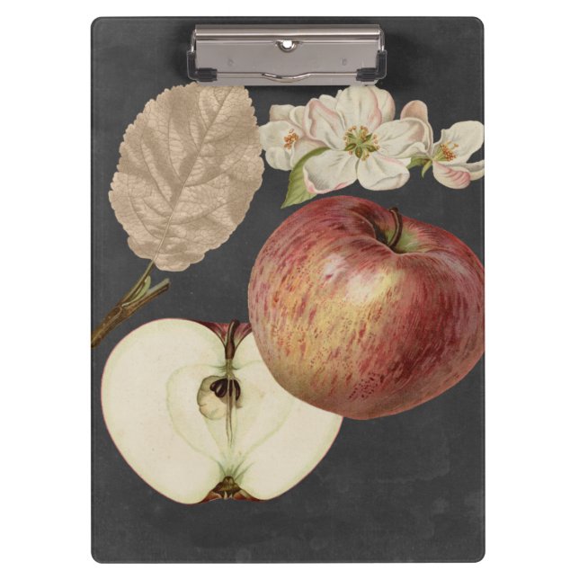 Pranchetas Midnight Harvest II (Frente)