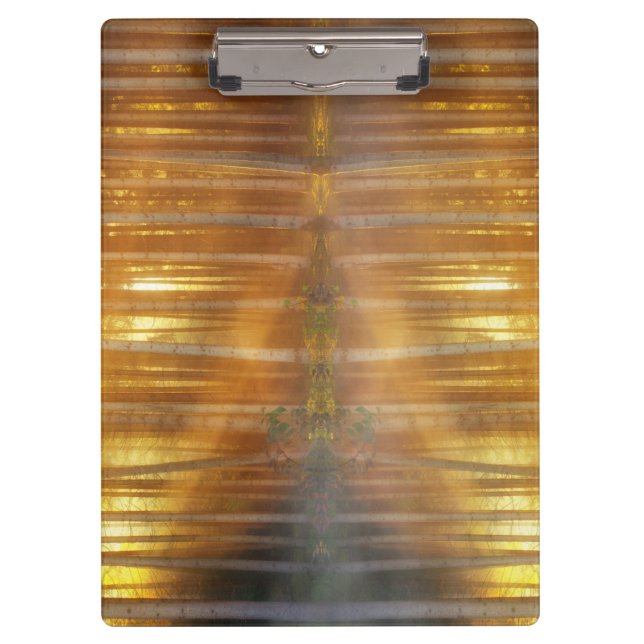 Pranchetas Misty Forest Scene (Frente)