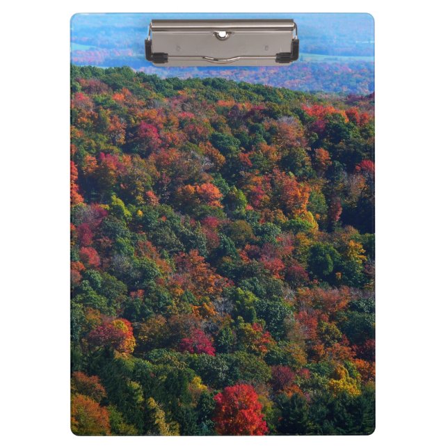 Pranchetas Montanhas Appalachian em queda (Frente)